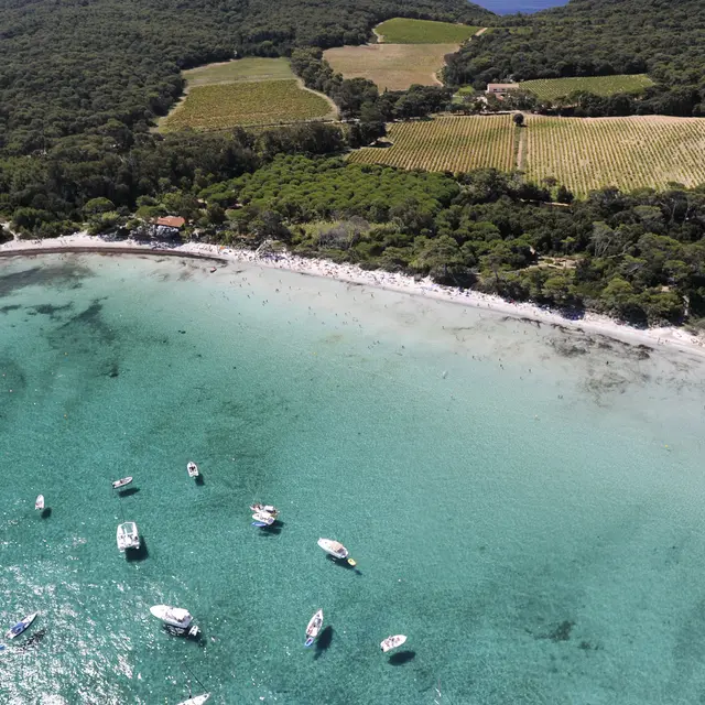 La plage d'argent - île de Porquerolles