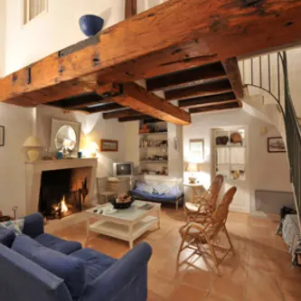 salon avec cheminée