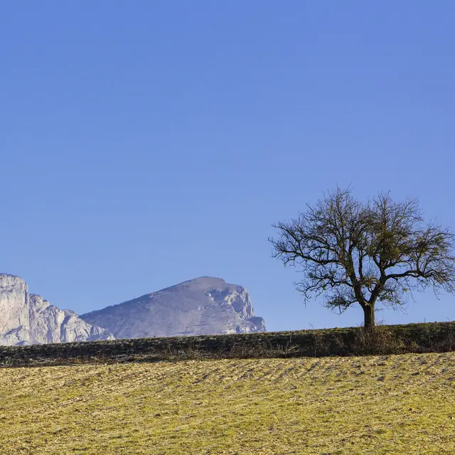 Paysage du pays de Bourdeaux