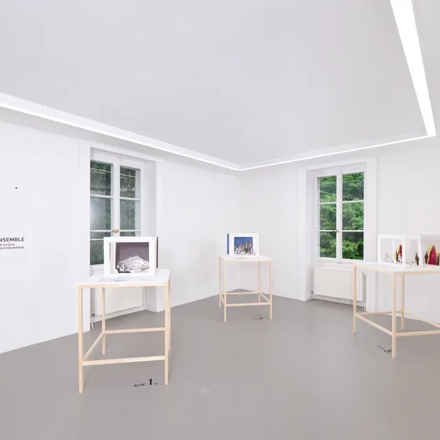 Visite artiste-commissaire : art et activisme_Annemasse