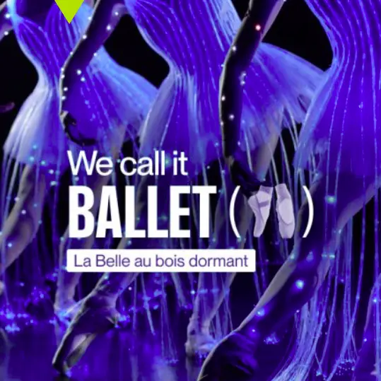 La Belle au Bois Dormant_Nice