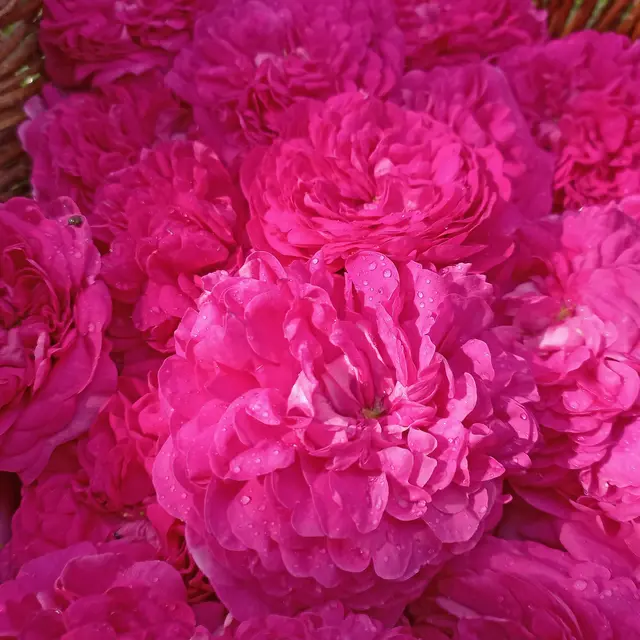 Cercle de femmes Marsat