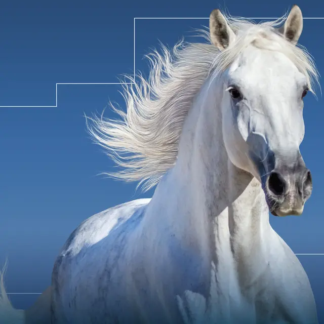 CHEVAL