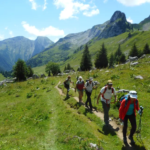 rando ethnobotanique