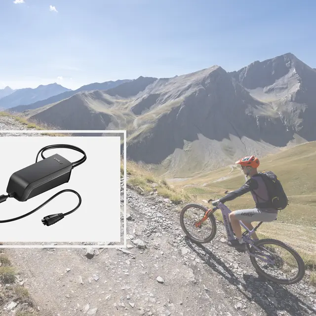 Borne de recharge Bosch pour vélo électrique