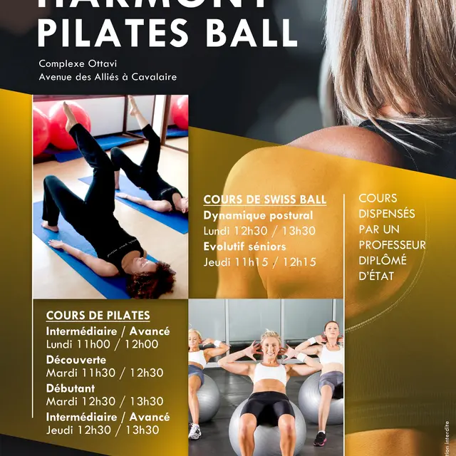 Harmony Pilates Ball