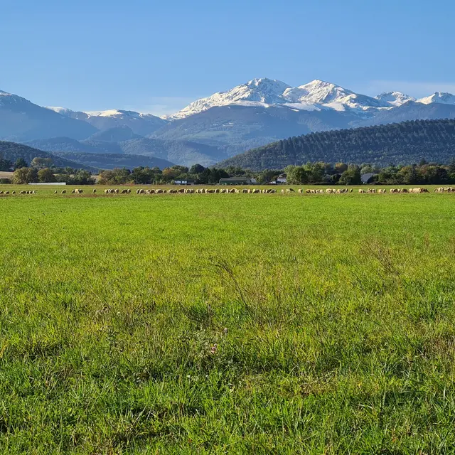 Vue sur les pyrénées