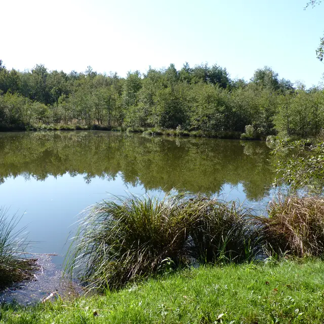 Circuit n°10 - Sur les pas des conteurs d'histoires