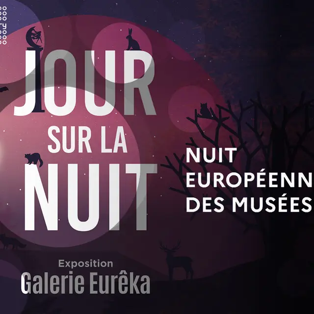 Nuit européenne des musées à la Galerie Eurêka_Chambéry