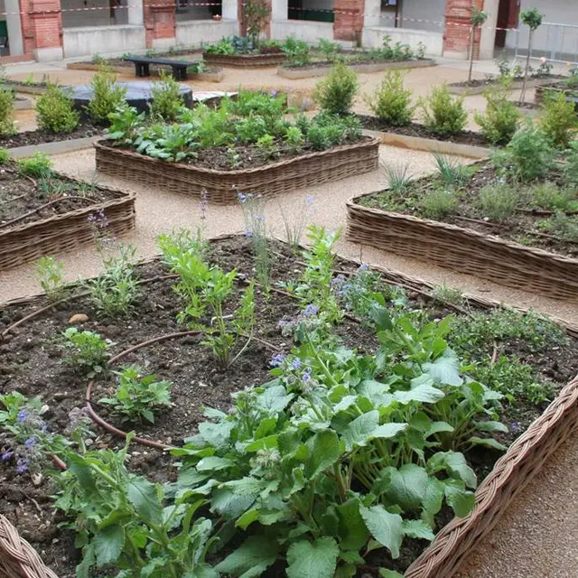 Le Jardin de Simple - Visiter Montauban - jardin public - découvrir montauban