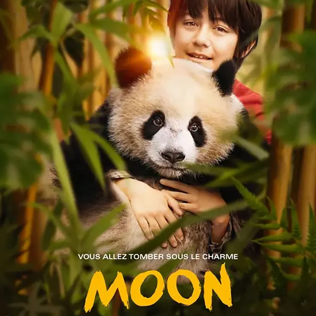 Moon le panda à la Bambouseraie en Cévennes