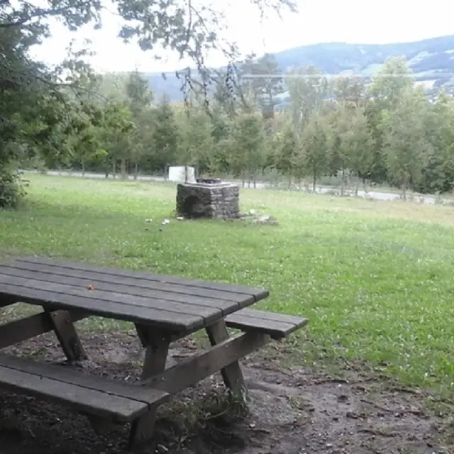 Table de pique nique