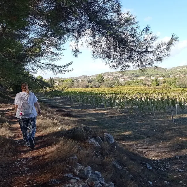 Sentier des vignerons - Boucle de la Venise Provençale_Martigues