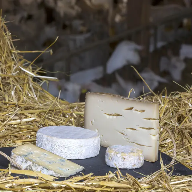 Ferme de Bois noir