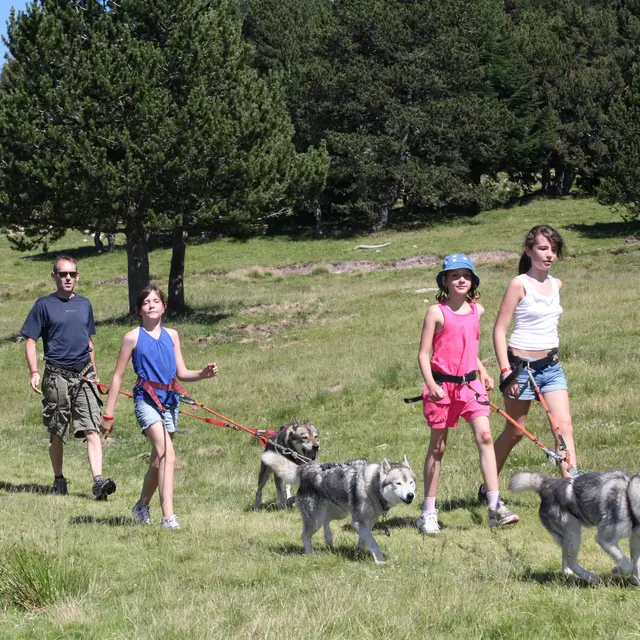 Cani marche avec Angaka.JPG