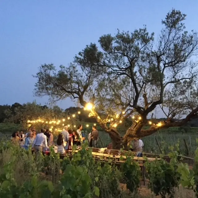 Soirées dégustation Domaine de Favanquet