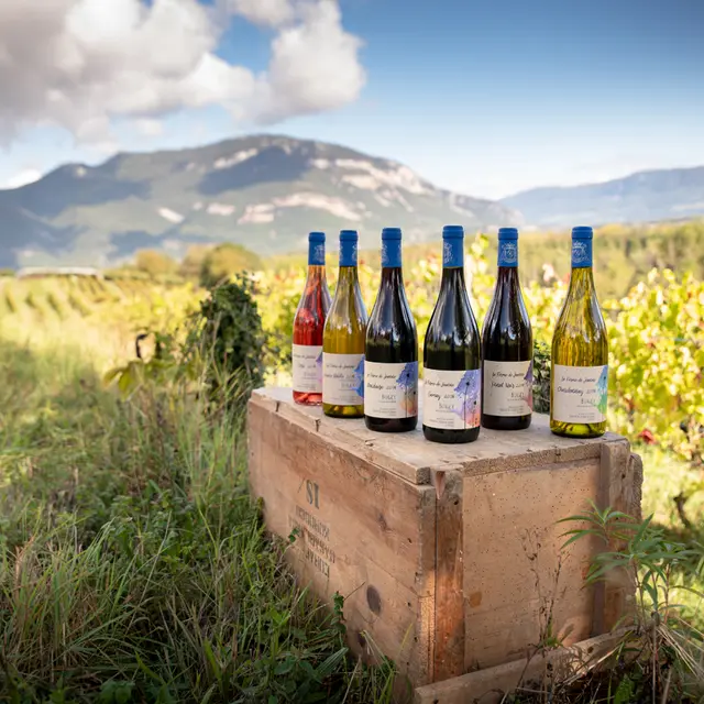 Domaine de la Ferme de Jeanne à Flaxieu