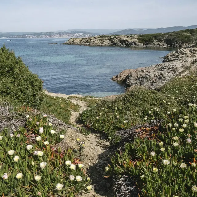 Visite guidée : Les Embiez, l'île au trésor anisé_Six-Fours-les-Plages