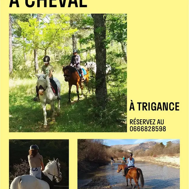 Les Chevaux de Jabron