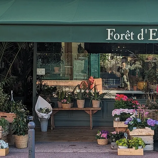 Forêt d'Emeraude