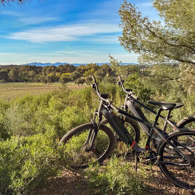 Flânerie Œnologique en VTT électrique dans les vignes à Figuière à La Londe-les-Maures