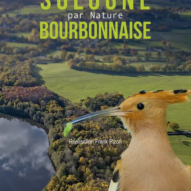 Gravière aux Oiseaux - Cinéma sous les étoiles_Mably