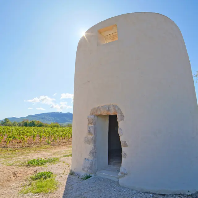 Boucle des Moulins | Sentier vigneron de Pourrières
