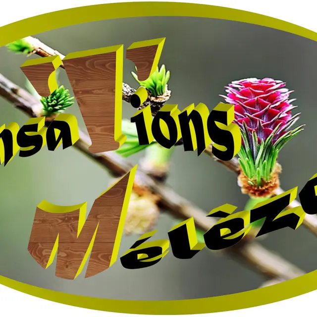Logo sensations mélèzes