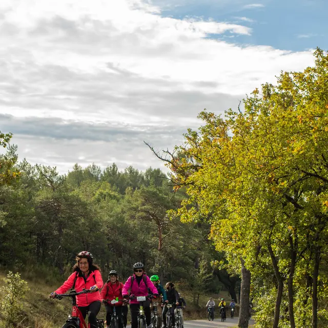 A vélo au fil de l'eau et de l'histoire singulière du Verdon