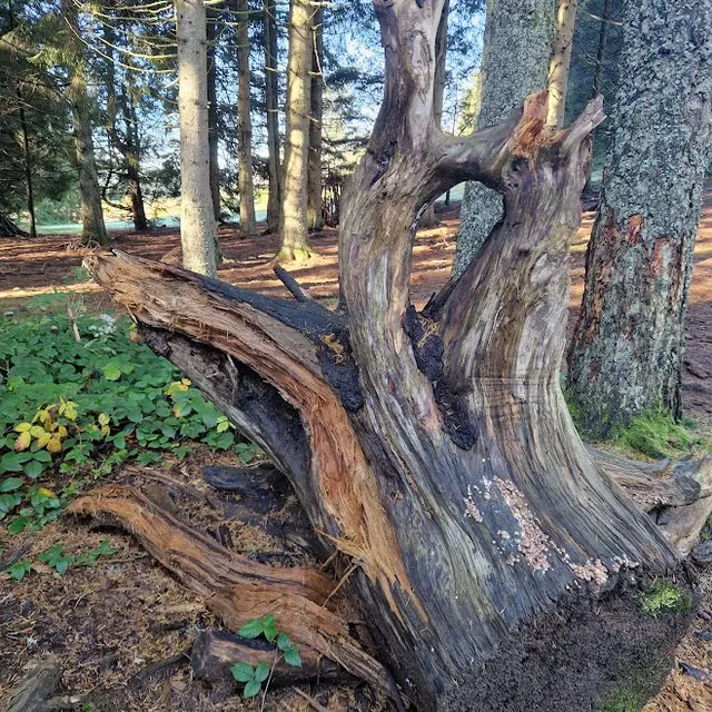 Les Ateliers des Babets - Balade contée_Le Bessat