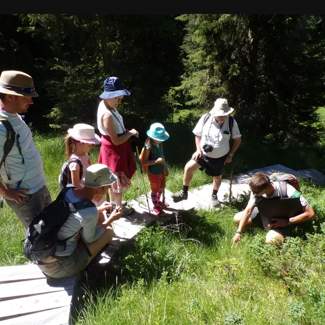 balade mycologique