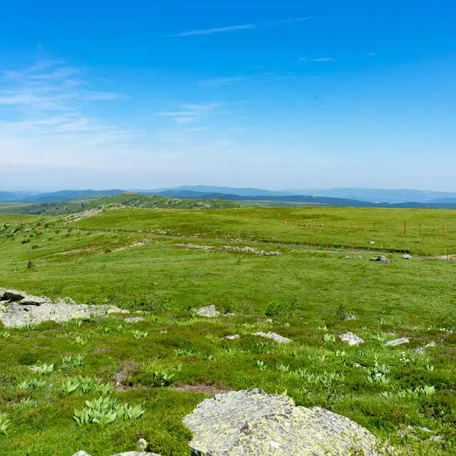 Randonnée montagne et pastoralisme : la rando pasto_Saint-Bonnet-le-Courreau