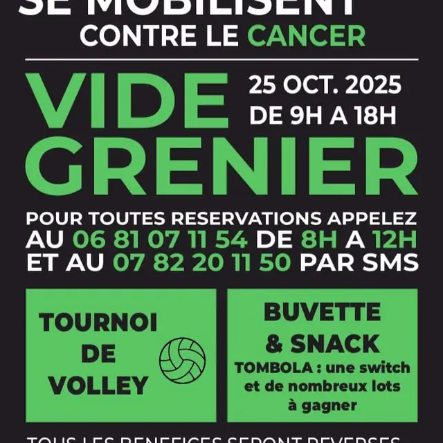 Vide grenier_Tarascon-sur-Ariège