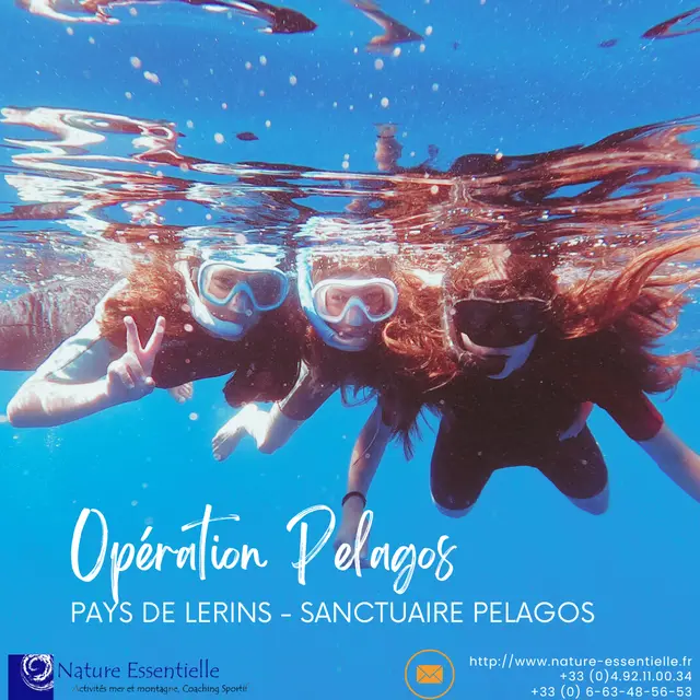 Opération pelagos stage