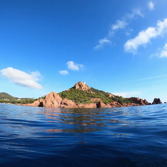 Snorkeling_Randonnée_palmée_Esterel_Saint-Raphaël_Agay_Var_Excursion_Bateau_Activité_Outdoor_Water_Sea_5