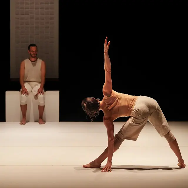 Spectacle 'Crocrodile' - Vaison Danses au Nymphée_Vaison-la-Romaine