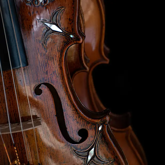 Concert : Archets Nomades – Éclats classiques et feux tziganes_Chambéry