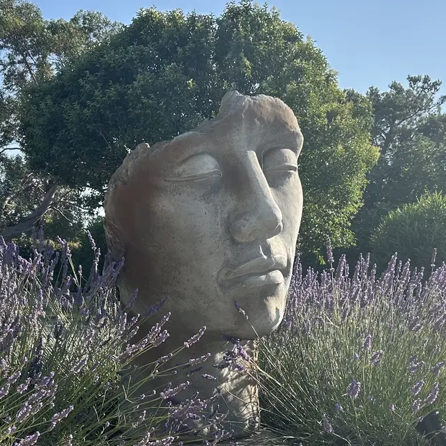 Le Camping du Lavandin_Orange