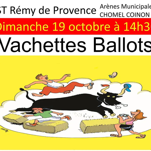 Vachettes Ballots_Saint-Rémy-de-Provence