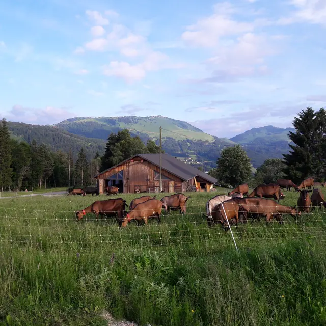 la_ferme_des_moises_habere_poche