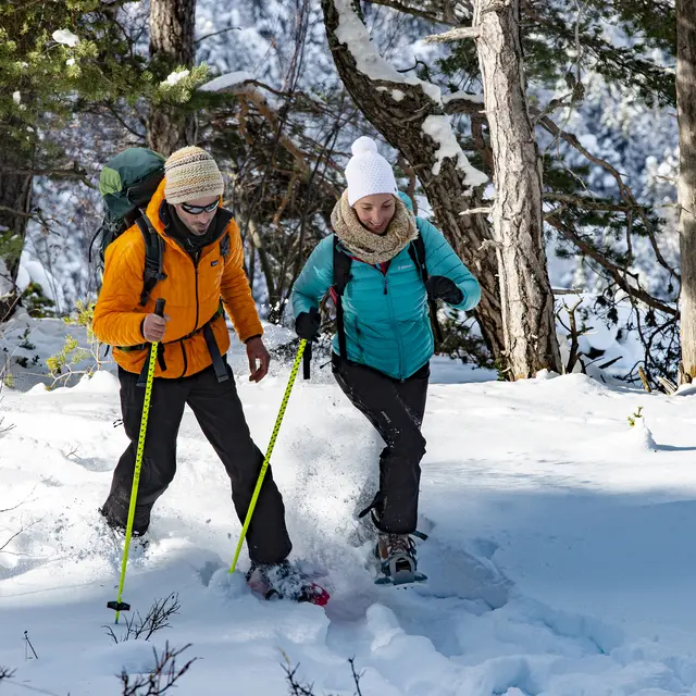 Randonnée accompagnée en raquettes Les crêtes de Chabanon_Selonnet