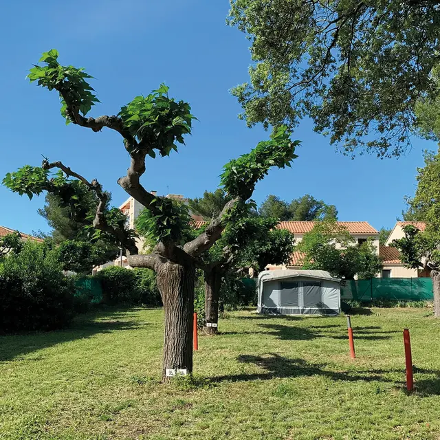 Camping La Sauge