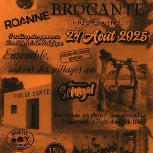 Vide greniers_Roanne