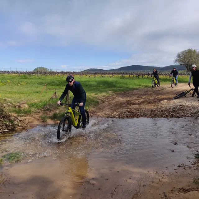 Team Evasion - Plan d'Aups Sainte Baume