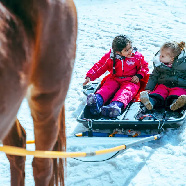 Balade en poney luge_La Toussuire