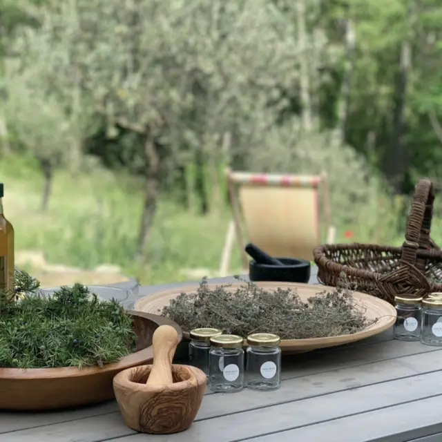 Séjour 'Plantes d'automne : herboristerie & cuisine sauvage' - Wacohe