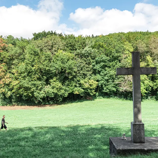 Sentier Clef des faux