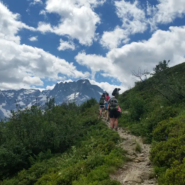 Les chemins de Bruno
