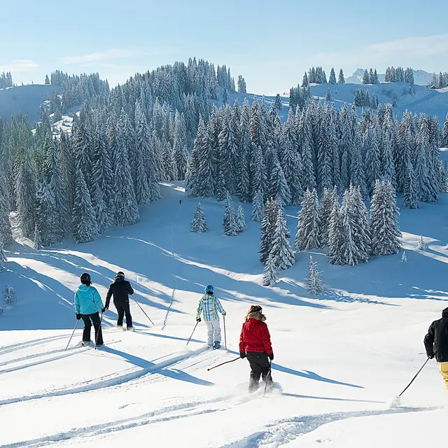 Cours de ski alpin