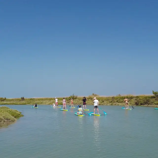 Randonnée en paddle dans l'île de Ré